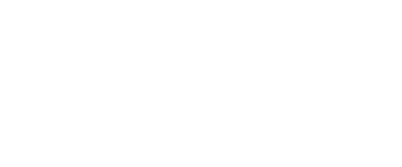 THE WAVERLY
